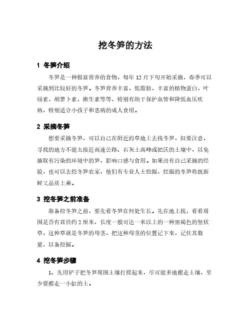 挖冬笋的方法