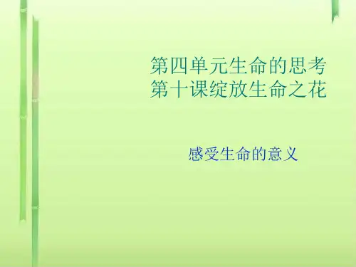 感受生命的意义PPT课件5 人教版
