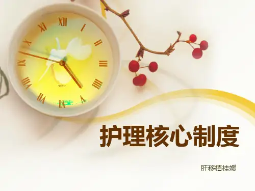 查对制度37991PPT课件