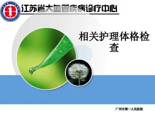 相关护理体格检查ppt课件