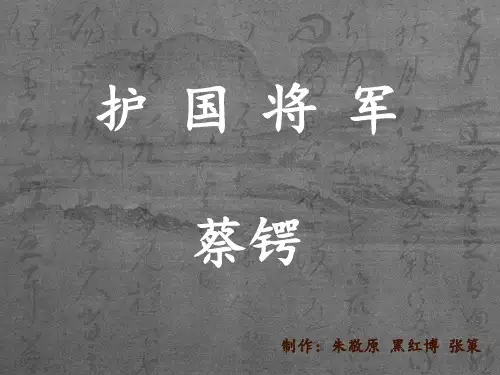 护国军魂 蔡锷将军