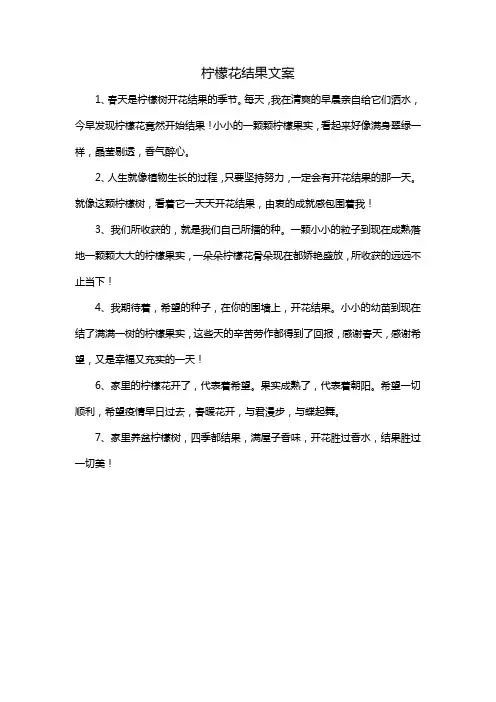 柠檬花结果文案