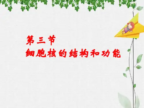 细胞核的结构和功能PPT精品课件_1