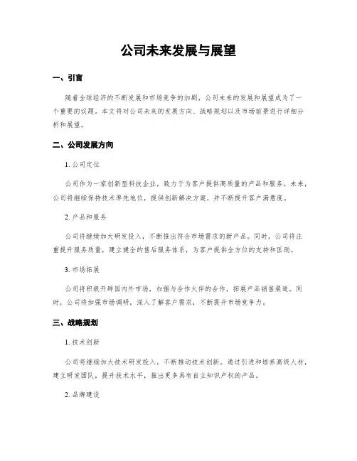 公司未来发展与展望