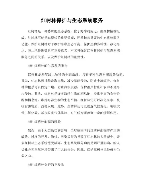 红树林保护与生态系统服务