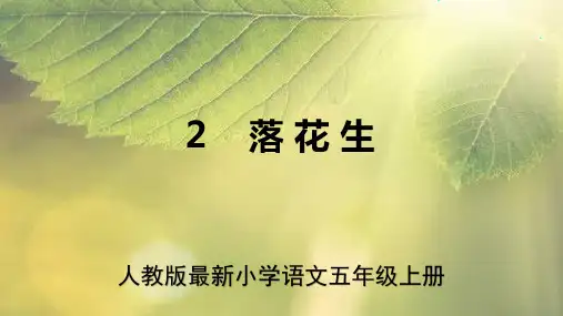 人教版最新小学语文五年级上册《落花生》课件