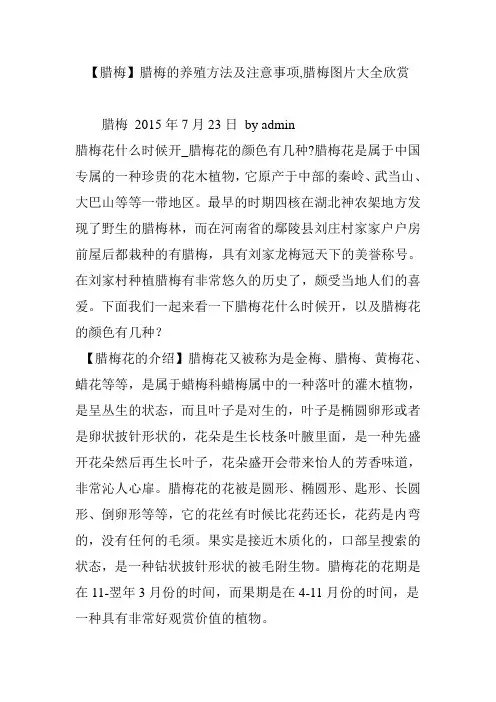 【腊梅】腊梅的养殖方法及注意事项,腊梅图片大全欣赏