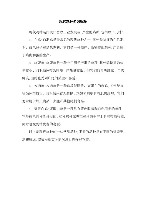 现代鸡种名词解释