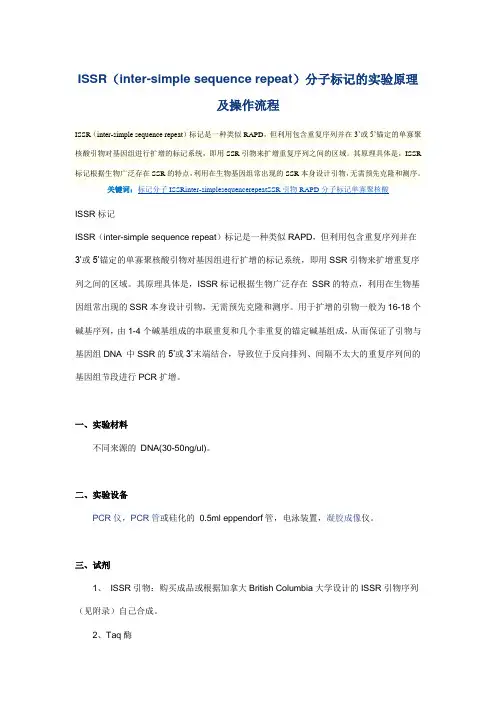ISSR(inter-simple sequence repeat)分子标记的实验原理及操作流程
