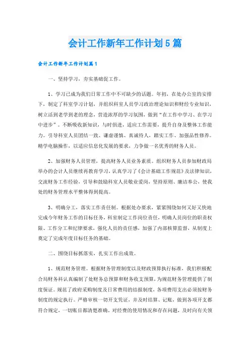 会计工作新年工作计划5篇
