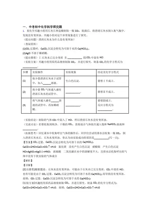 2020-2021中考化学(探究题提高练习题)压轴题训练及答案