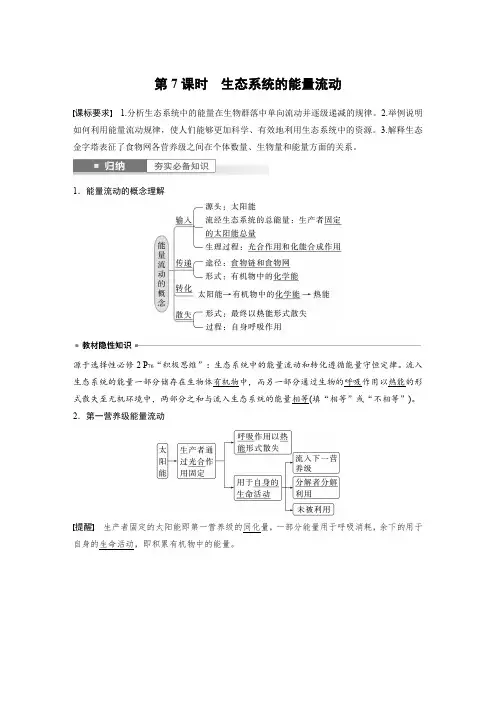2024届高考一轮复习生物教案(苏教版)：生态系统的能量流动
