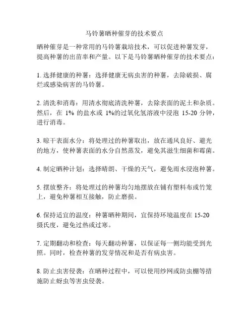 马铃薯晒种催芽的技术要点