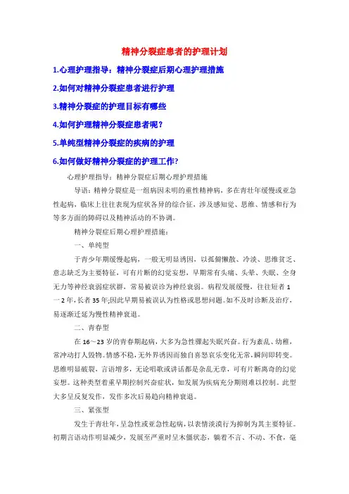 精神分裂症患者的护理计划
