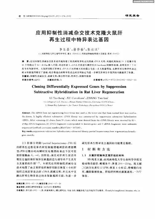 应用抑制性消减杂交技术克隆大鼠肝再生过程中特异表达基因