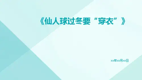 仙人球过冬要“穿衣”