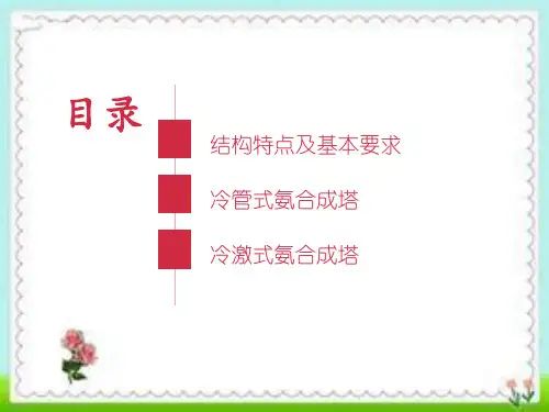 合成氨氨合成塔演讲PPT演示教学