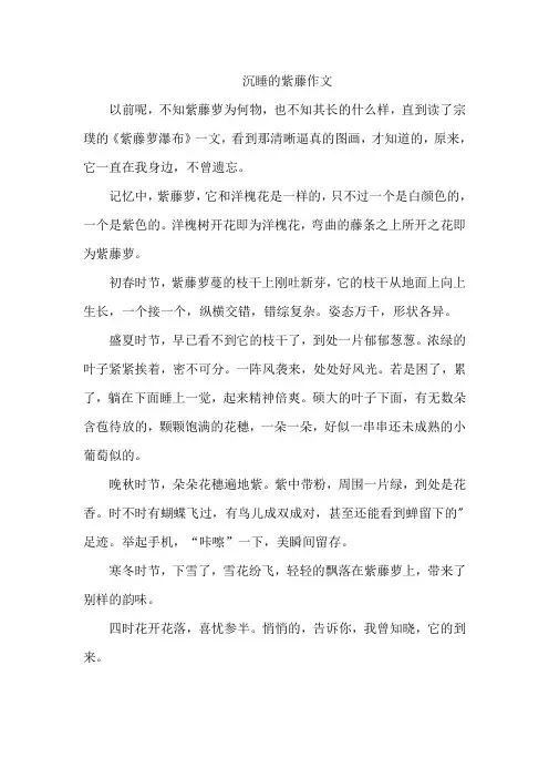 沉睡的紫藤作文