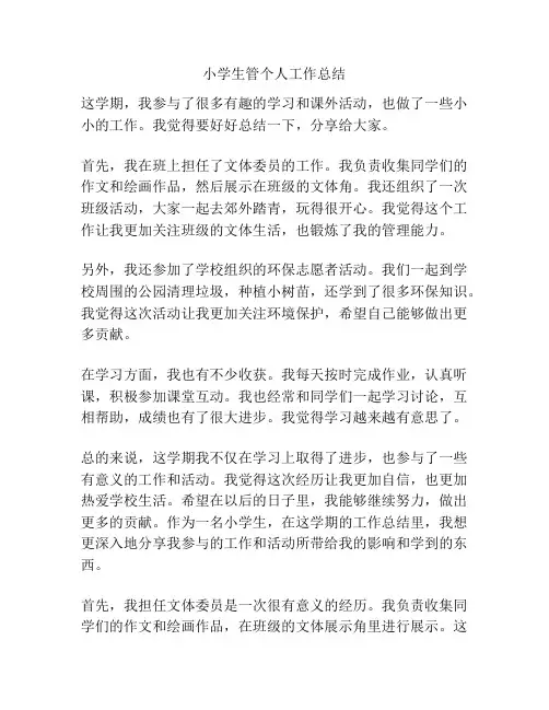 小学生管个人工作总结