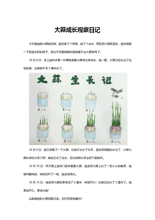 大蒜成长观察日记