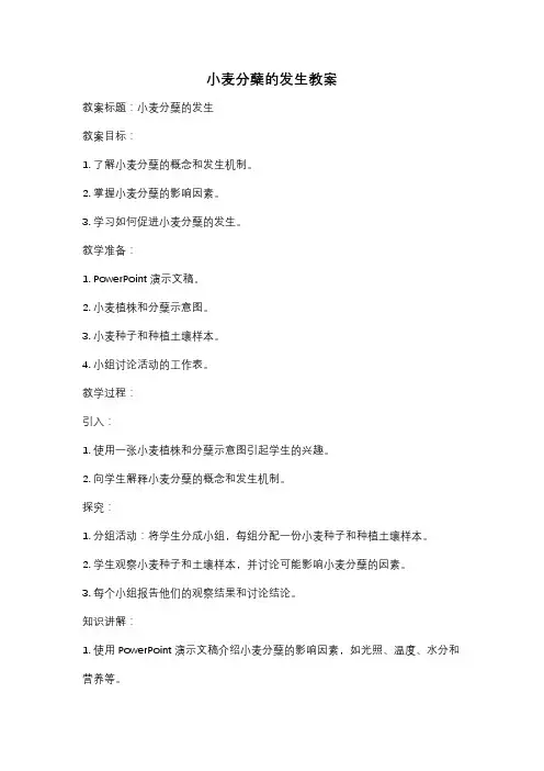 小麦分蘖的发生教案