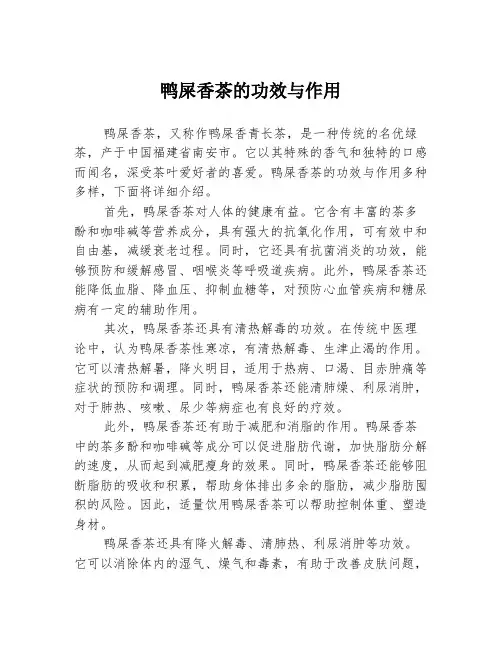 鸭屎香茶的功效与作用