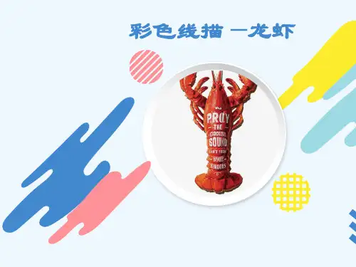 彩色线描—龙虾—美术课件