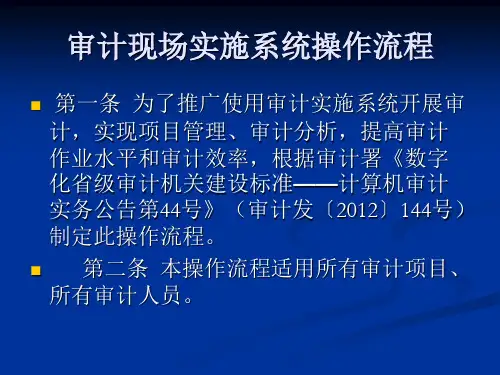 现场审计实施系统操作流程