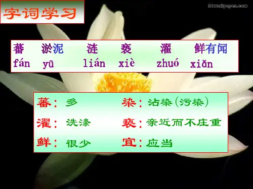 爱莲说PPT字词和译文