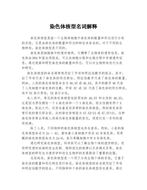 染色体核型名词解释