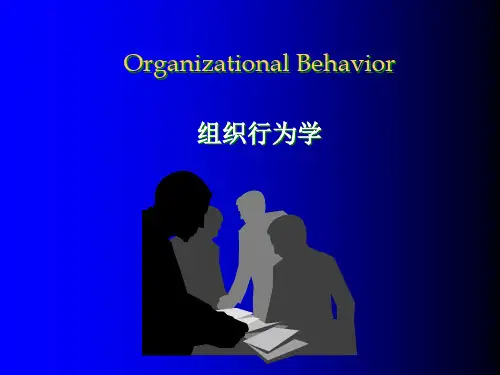 《组织行为学》.pptx
