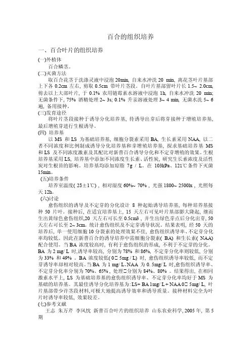 百合的组织培养