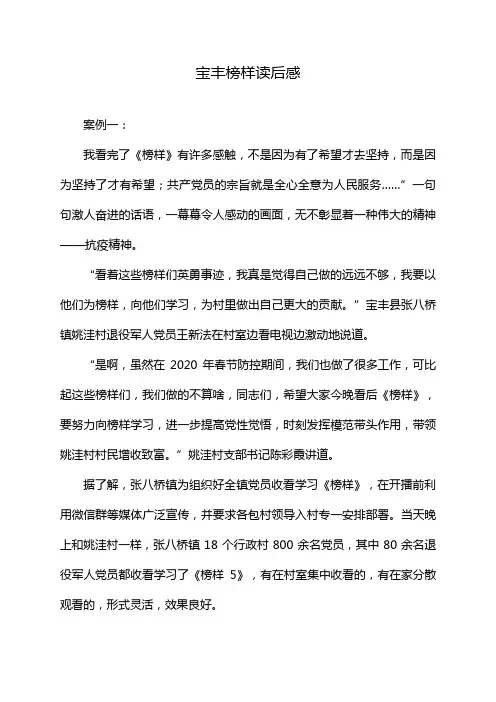 宝丰榜样读后感