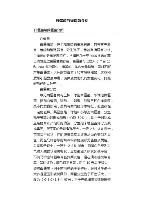 白僵菌与绿僵菌介绍