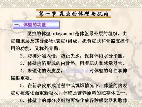 森林昆虫学 3-03