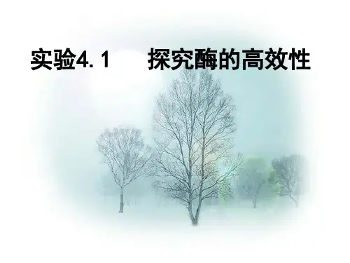 实验探究酶的高效性