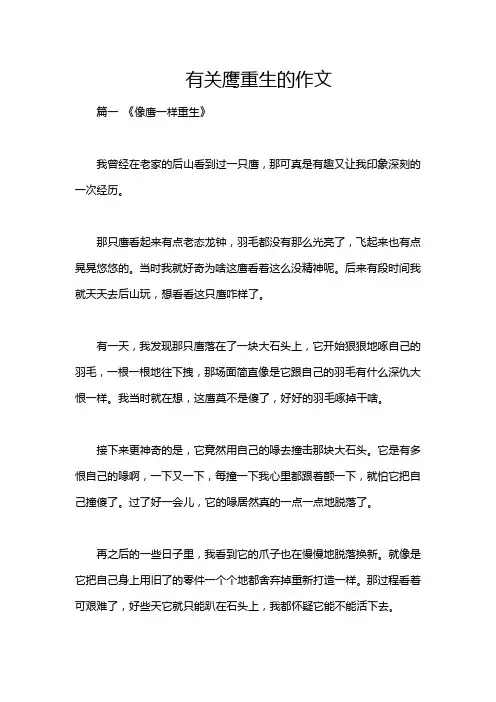 有关鹰重生的作文