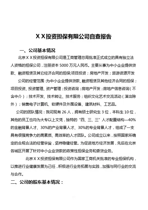 投资担保有限公司自查报告