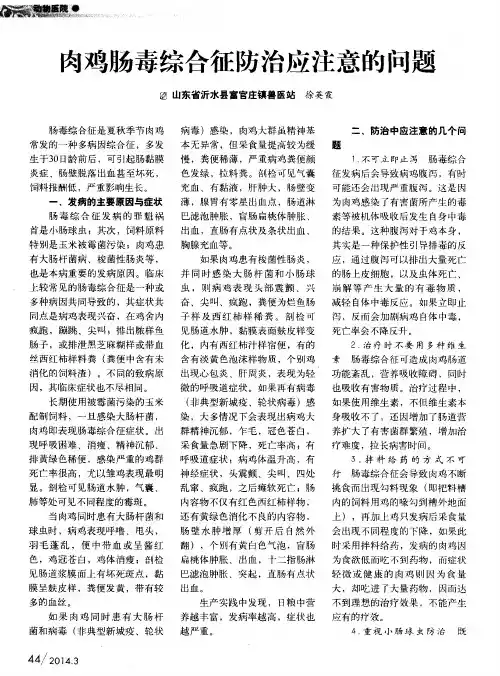 肉鸡肠毒综合征防治应注意的问题