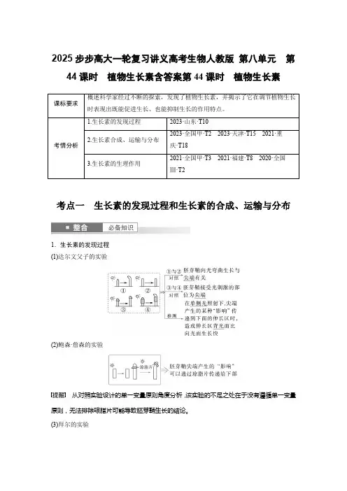 2025步步高大一轮复习讲义高考生物人教版 第八单元 第44课时 植物生长素含答案