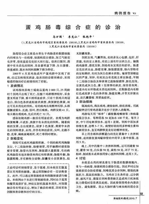 蛋鸡肠毒综合症的诊治