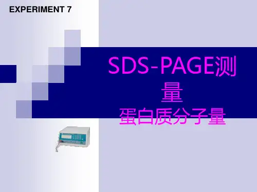 SDS-PAGE测量蛋白质分子量解析