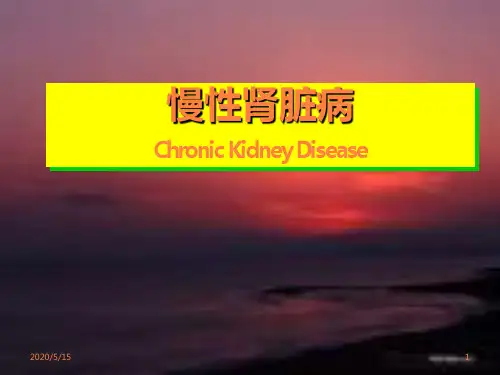 慢性肾脏病PPT课件