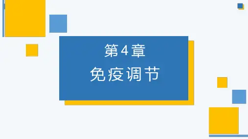 免疫系统的组成和功能课件-高二上学期生物人教版选择性必修1