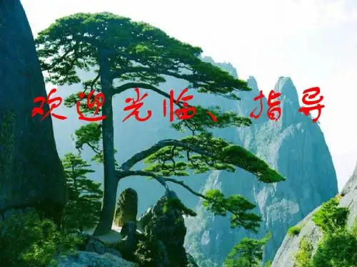 《鹤》 PPT课件