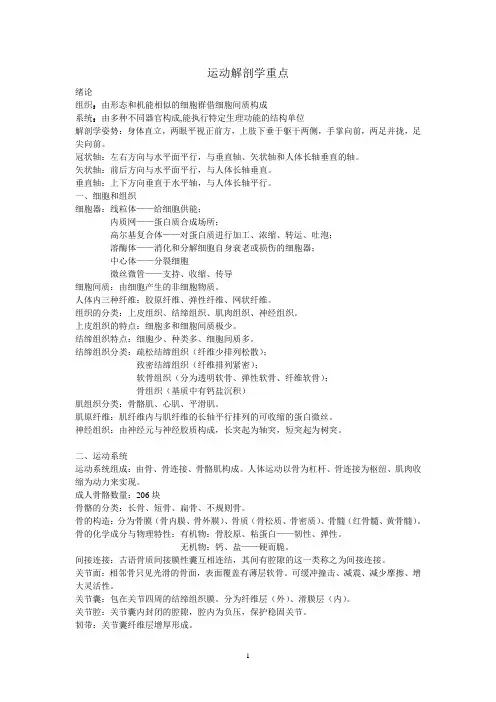 运动解剖学复习整理