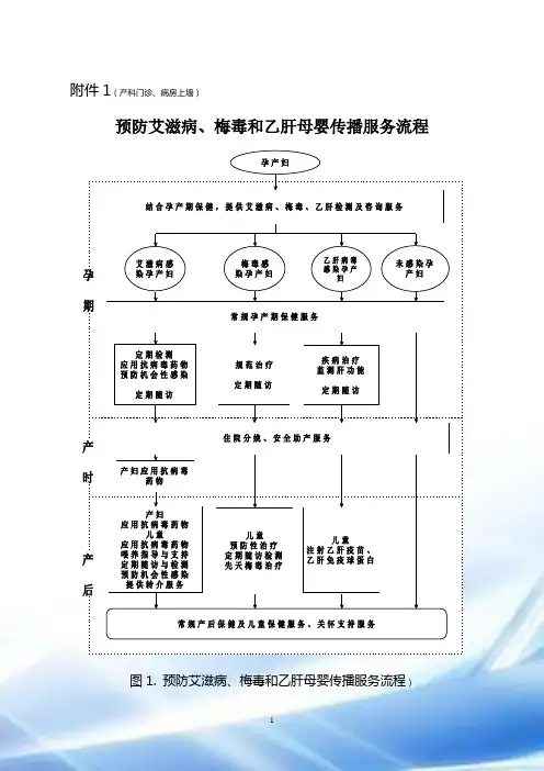 艾、梅、乙、检测服务流程图附件1--9