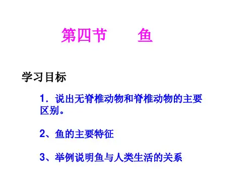 第一章 第四节 鱼优秀课件