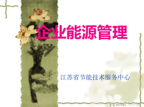 企业能源管理