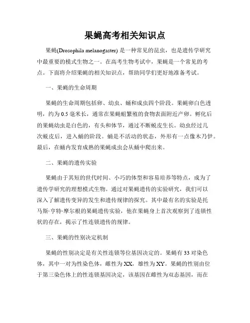 果蝇高考相关知识点